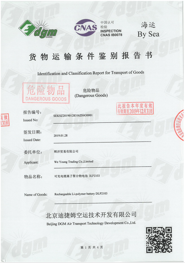 Identification report of cargo transportation conditions